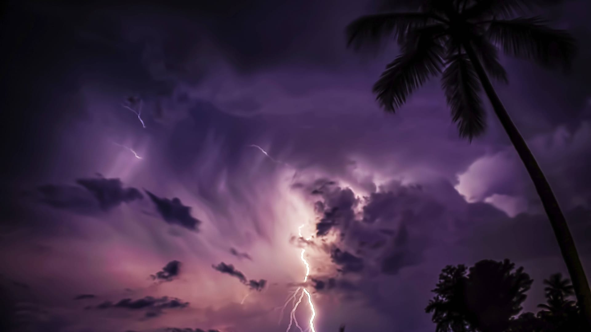 Gewitter und Blitze (Symbolbild): Nach der Hitzewelle kippt in der Nacht auf Montag das Wetter in Deutschland.
