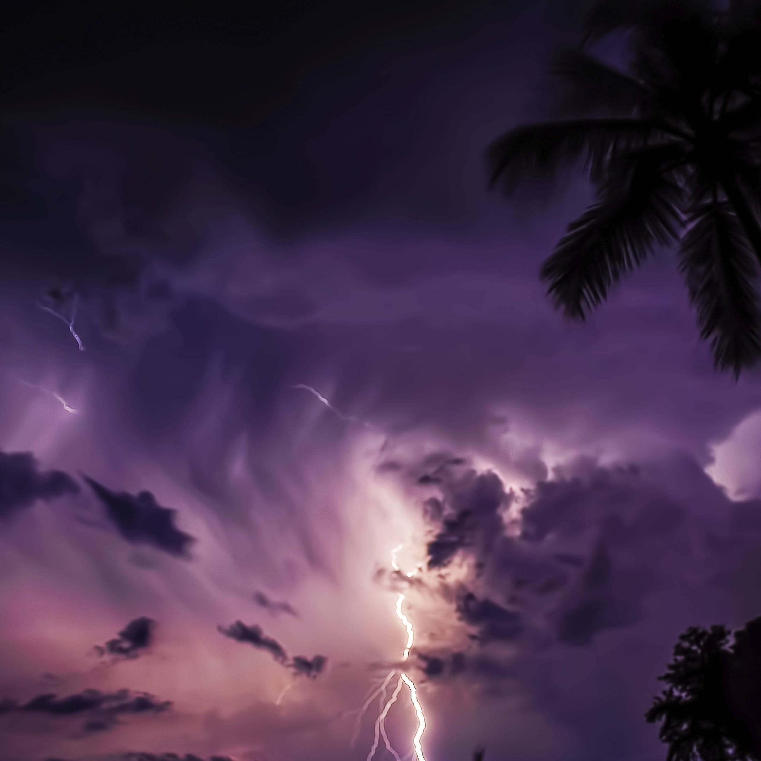 Gewitter und Blitze (Symbolbild): Nach der Hitzewelle kippt in der Nacht auf Montag das Wetter in Deutschland.