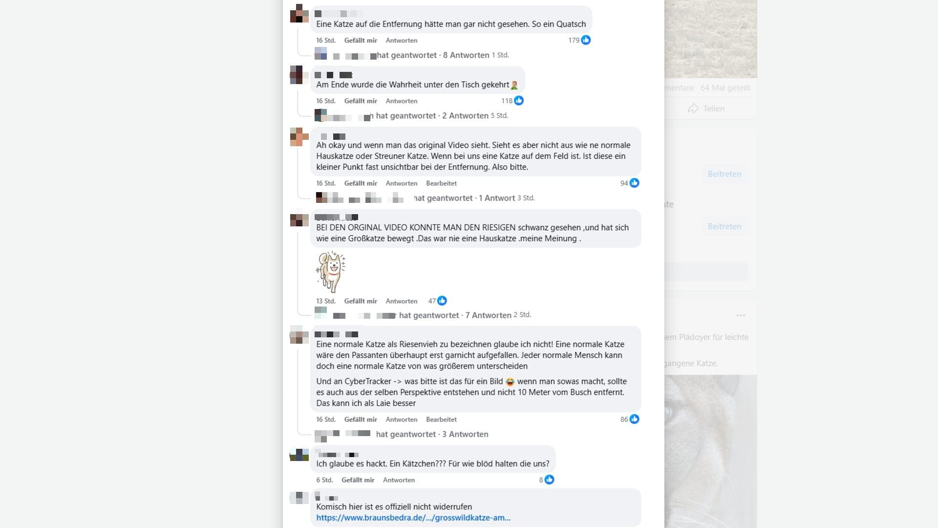 Facebook-Kommentare unter einem Posting der Gemeinde Braunsbedra: Vor Ort wollen viele weiter an ihren "Puma" glauben.