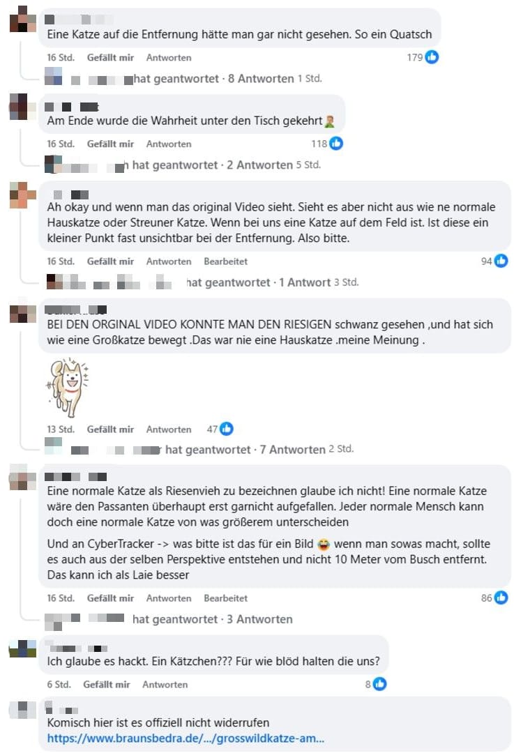 Facebook-Kommentare unter einem Posting der Gemeinde Braunsbedra: Vor Ort wollen viele weiter an ihren "Puma" glauben.