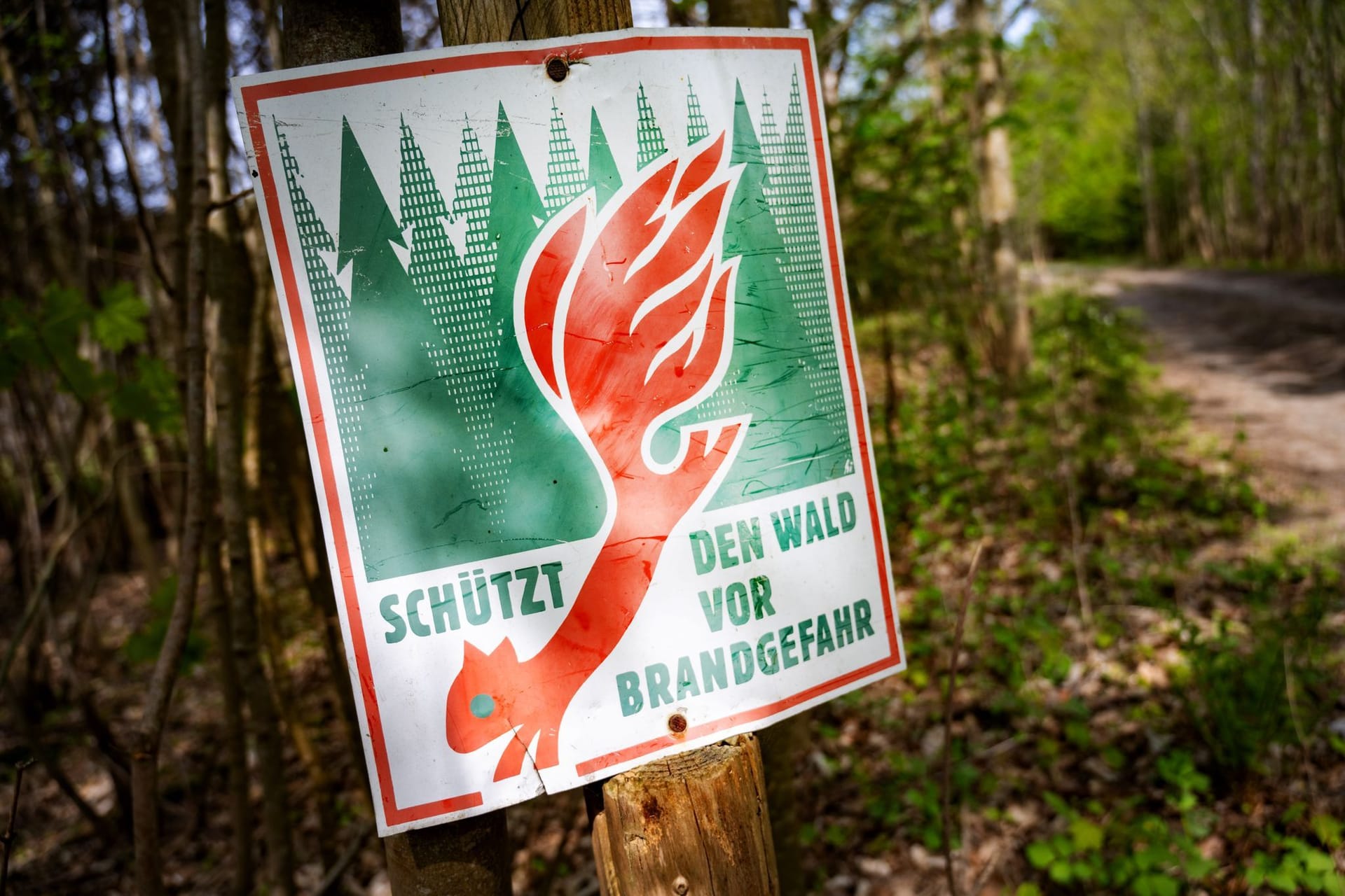Schild mit der Aufschrift «Schütz den Wald vor Brandgefahr»