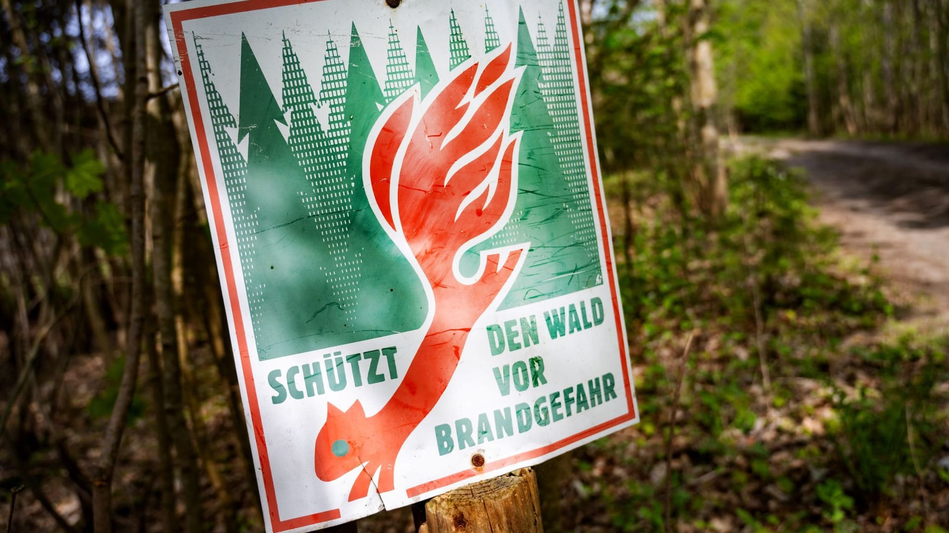 Schild mit der Aufschrift «Schütz den Wald vor Brandgefahr» Schild mit der Aufschrift «Schütz den Wald vor Brandgefahr»