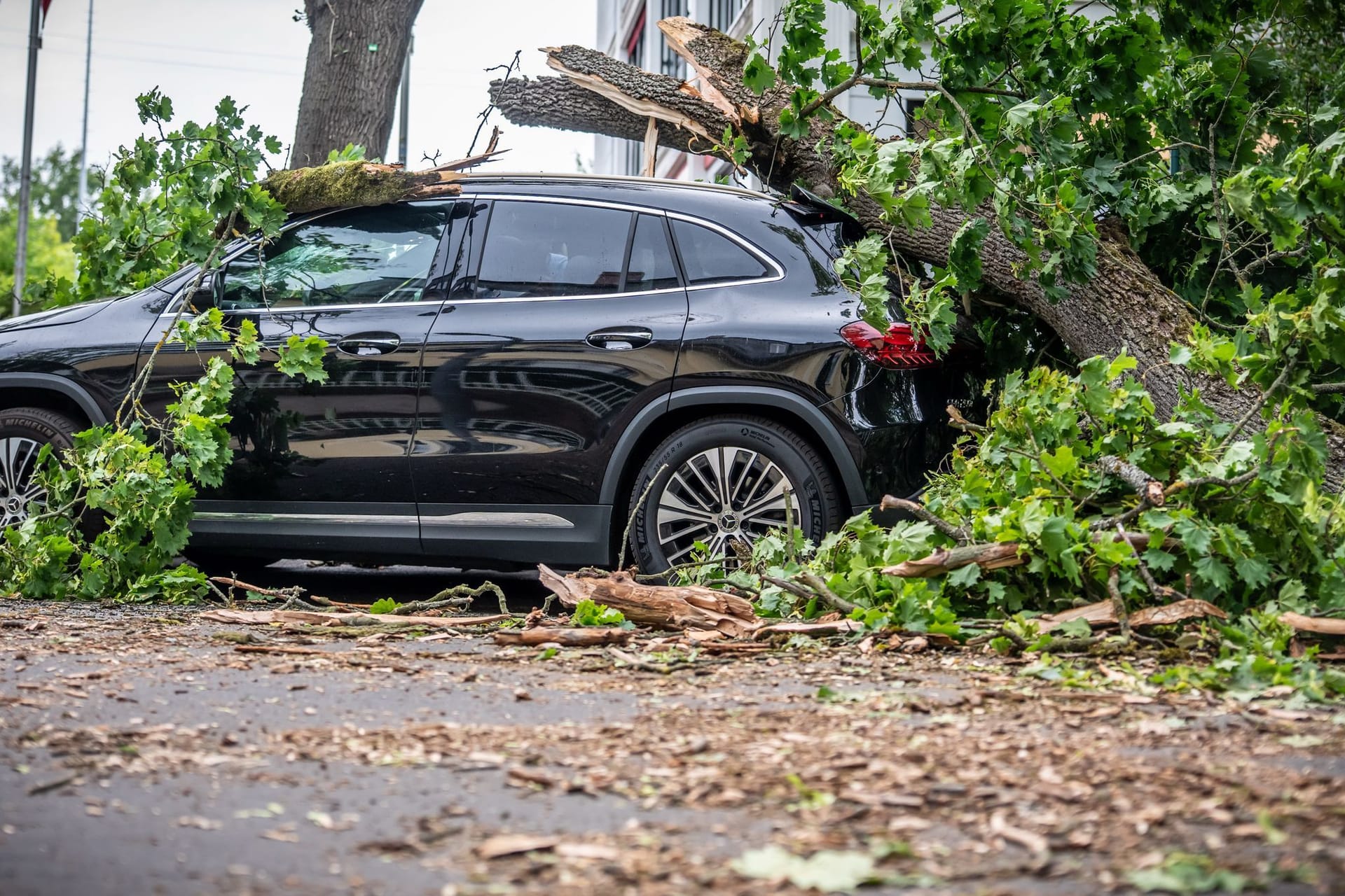 Ein Baum begräbt eine Auto in Berlin unter sich: Die Hauptstadt war am stärksten von den Unwettern betroffen.