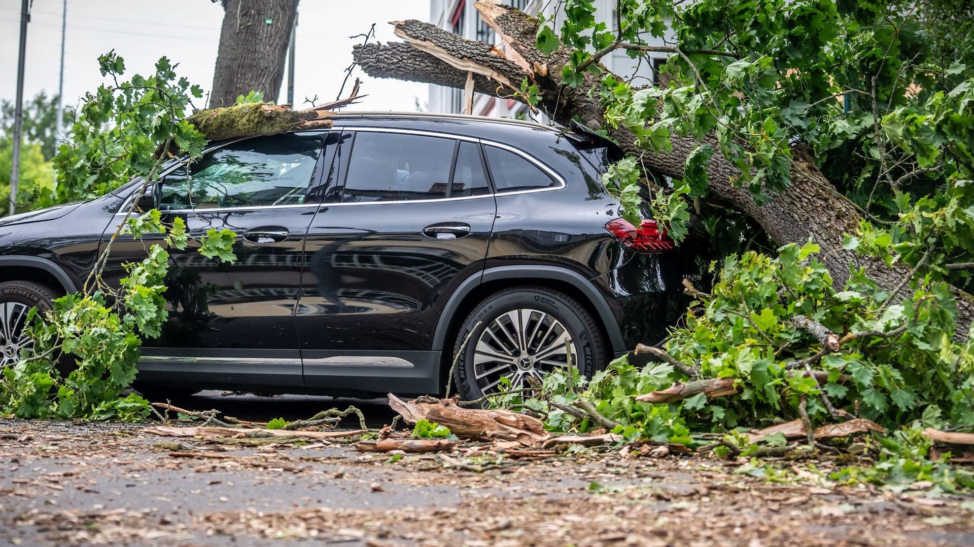 Ein Baum begräbt eine Auto in Berlin unter sich: Die Hauptstadt war am stärksten von den Unwettern betroffen.