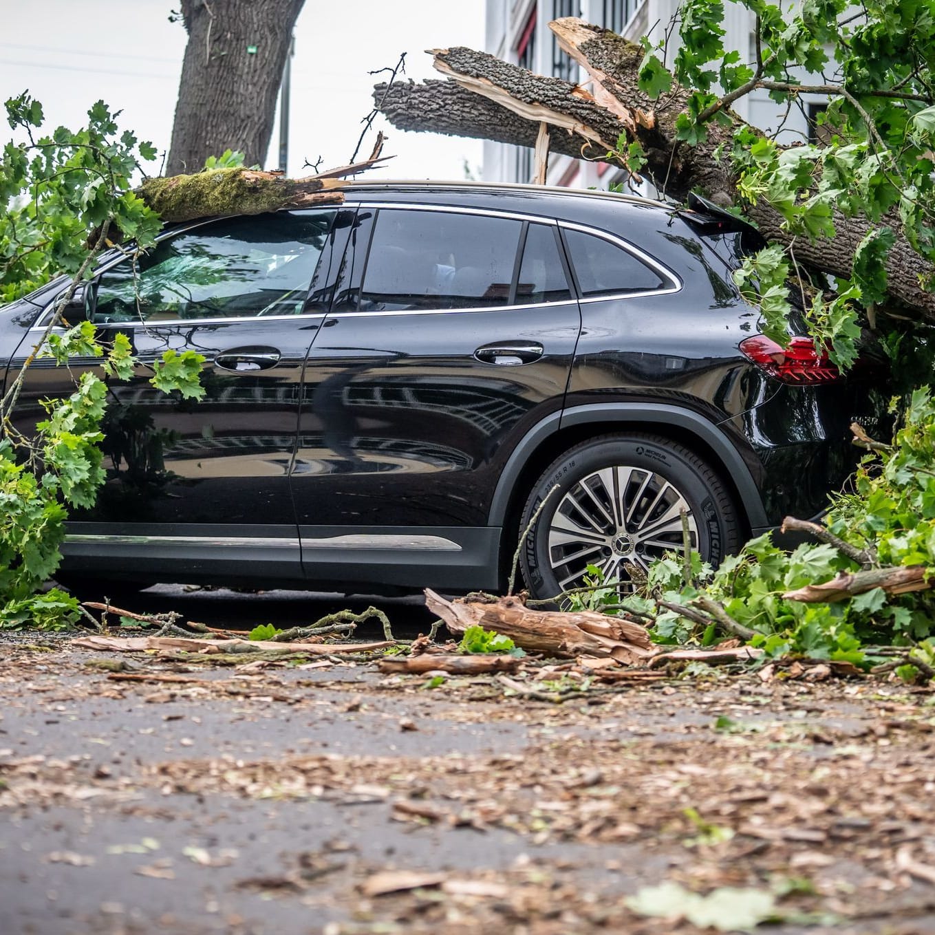 Ein Baum begräbt eine Auto in Berlin unter sich: Die Hauptstadt war am stärksten von den Unwettern betroffen.