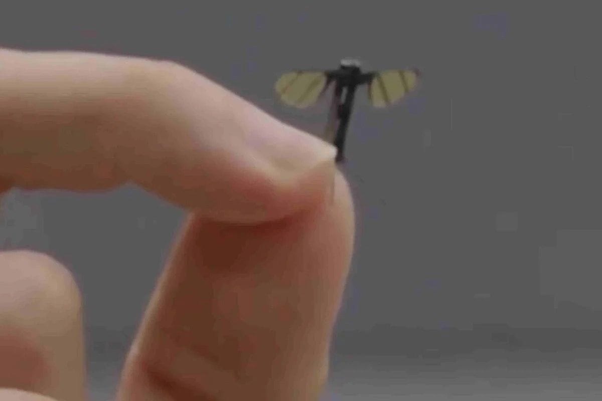 Minidrohne aus China: Das Fluggerät ähnelt einem Insekt.