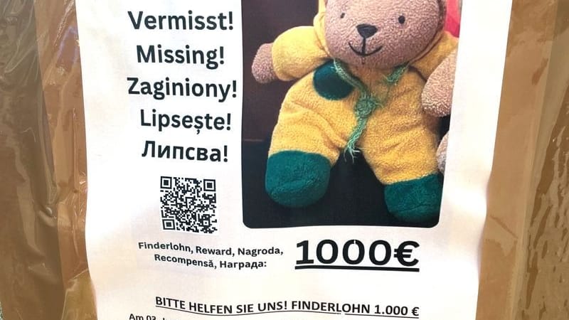 Ein Plakat zu einer Suchaktion hängt an der Ahornallee in Berlin-Charlottenburg. In Berlin läuft derzeit eine breit angelegte Suchaktion nach dem Teddybären "Mini". Ein Plakat zu einer Suchaktion hängt an der Ahornallee in Berlin-Charlottenburg. In Berlin läuft derzeit eine breit angelegte Suchaktion nach dem Teddybären "Mini".