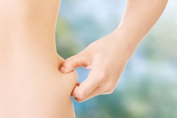 Hautfett: Das Körperfett schützt vor Temperaturschwankungen und Verletzungen.