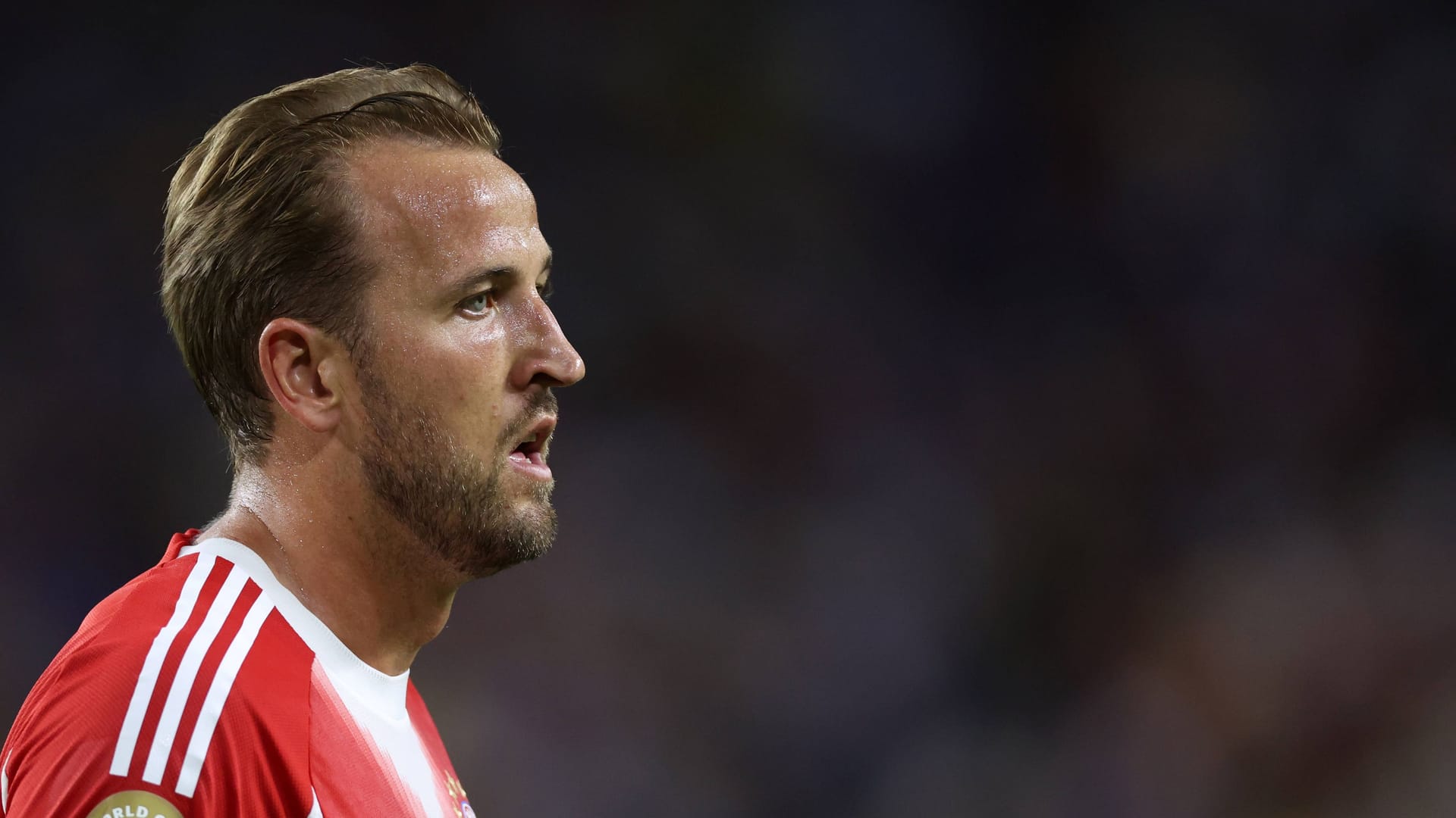 Harry Kane: Er spielt mit den Bayern die Klub-WM.
