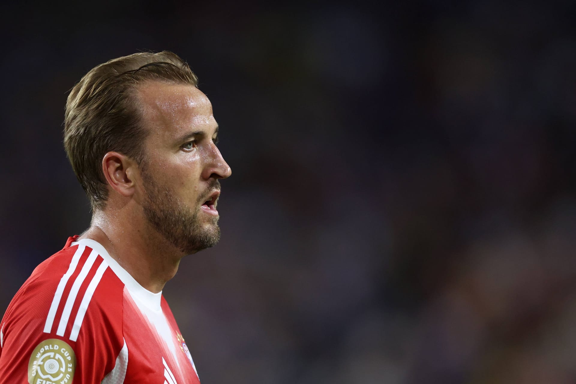 Harry Kane: Er spielt mit den Bayern die Klub-WM.
