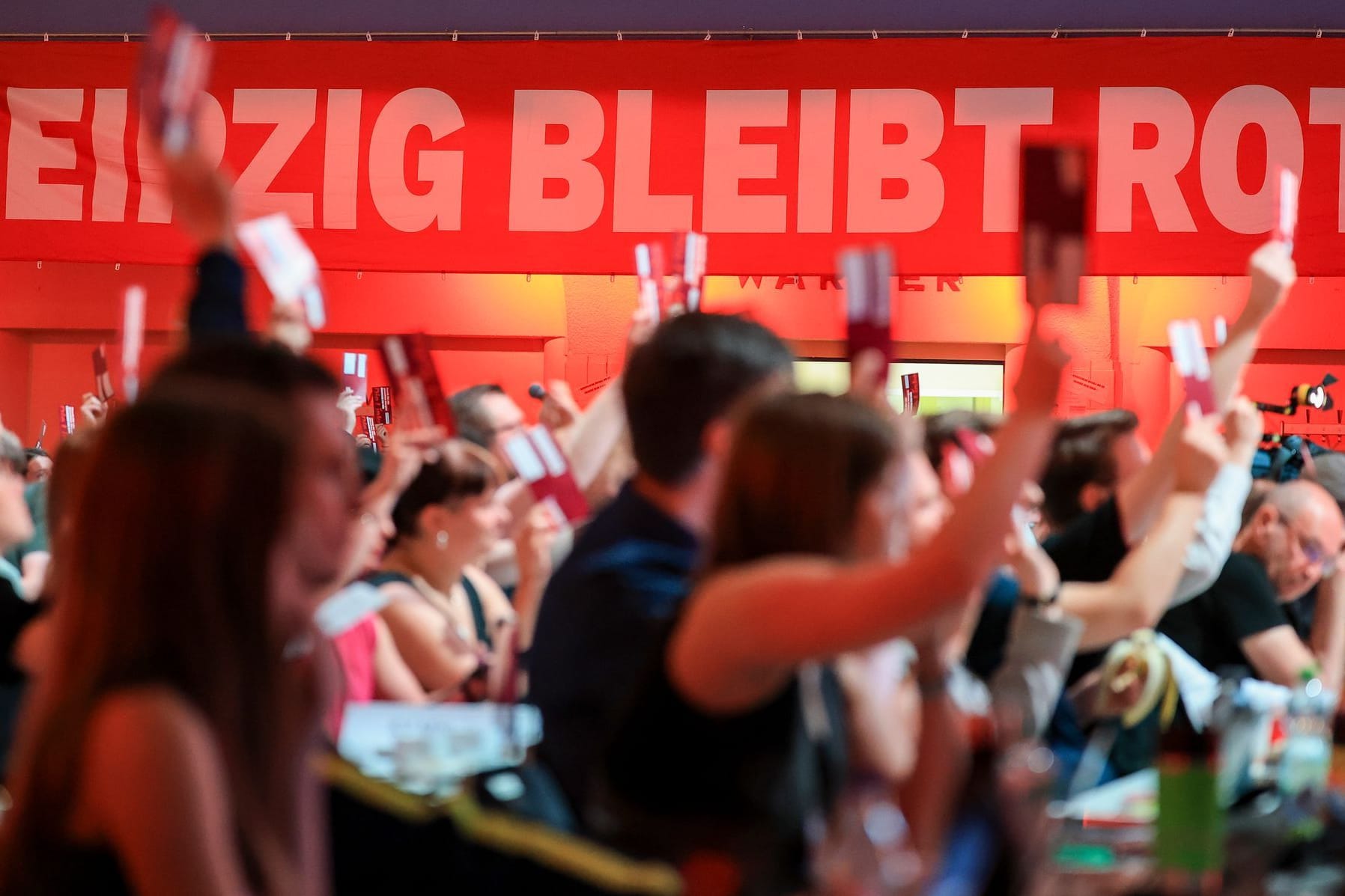 Landesparteitag Die Linke Sachsen