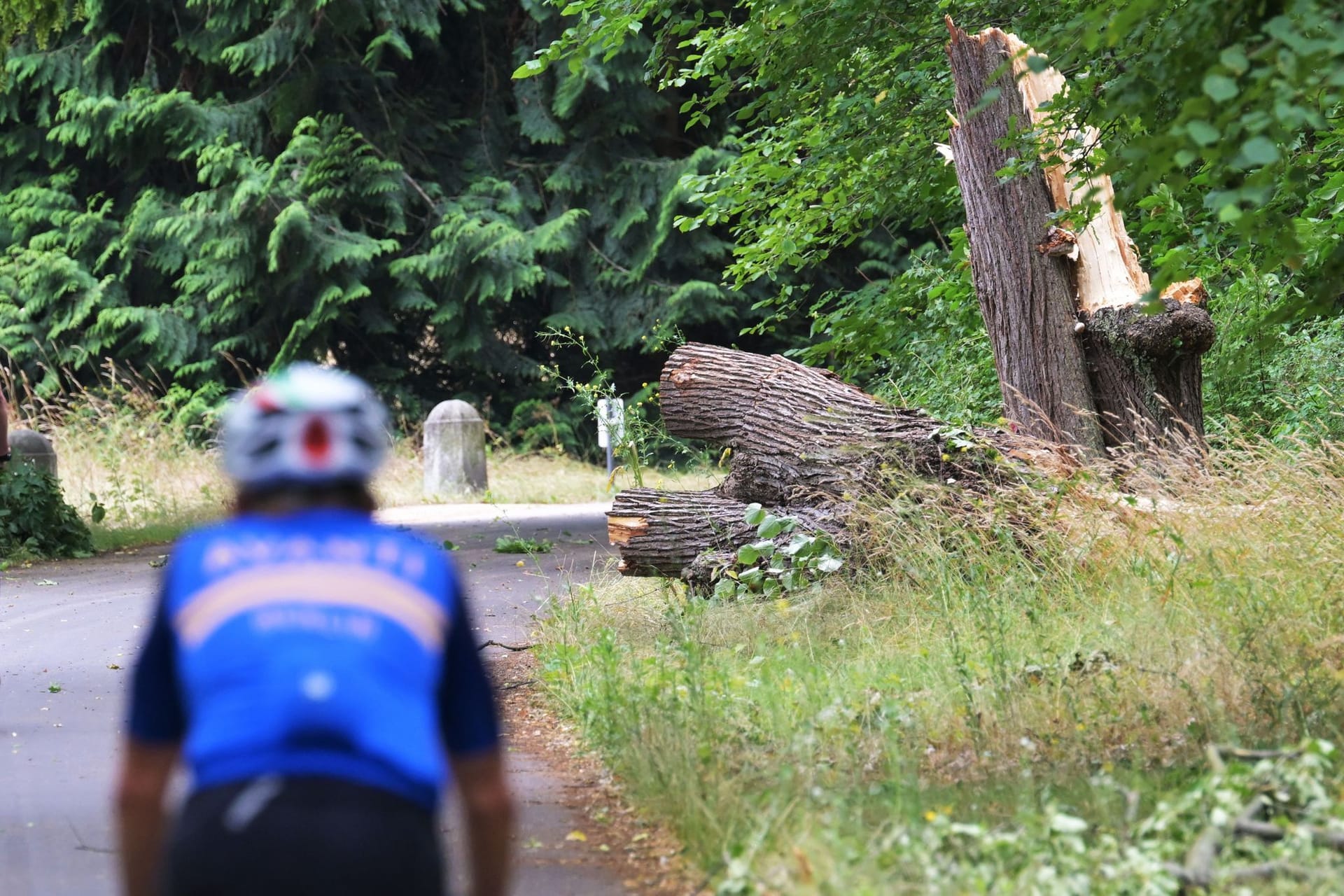 Potsdam: Ein Radfahrer fährt auf einem Weg im Neuen Garten des Schlossparks Sanssouci.