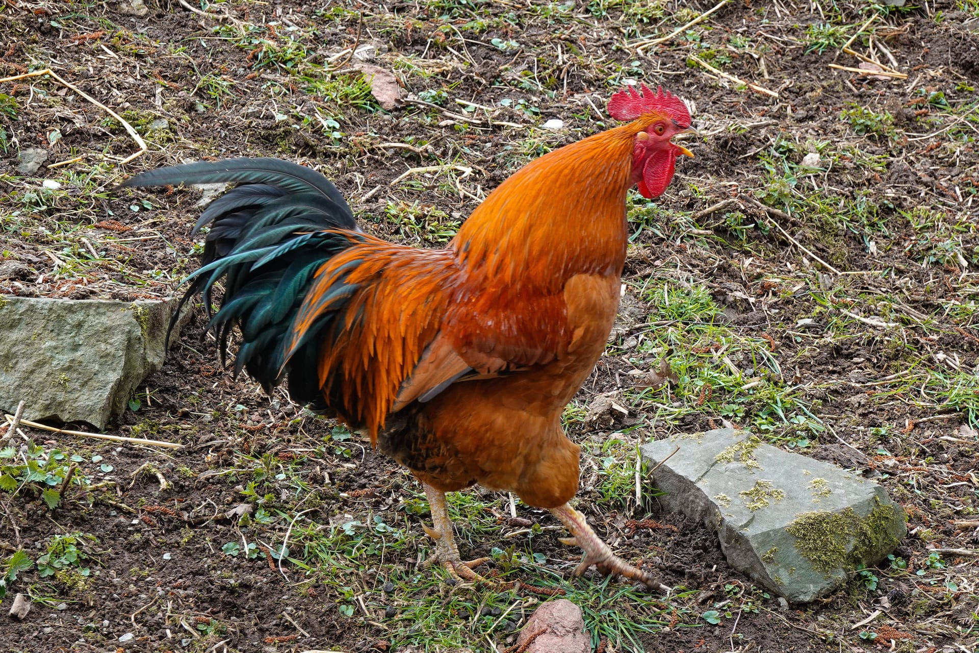imago images 154889921