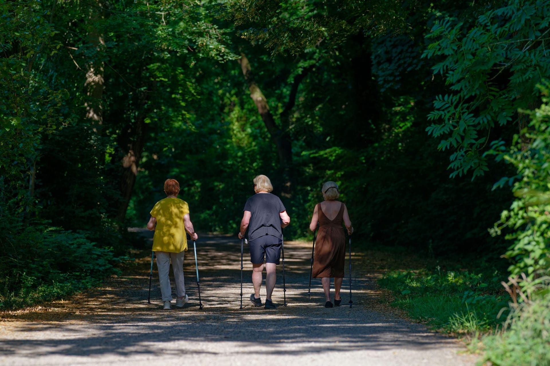 Sommer in Baden-Württemberg