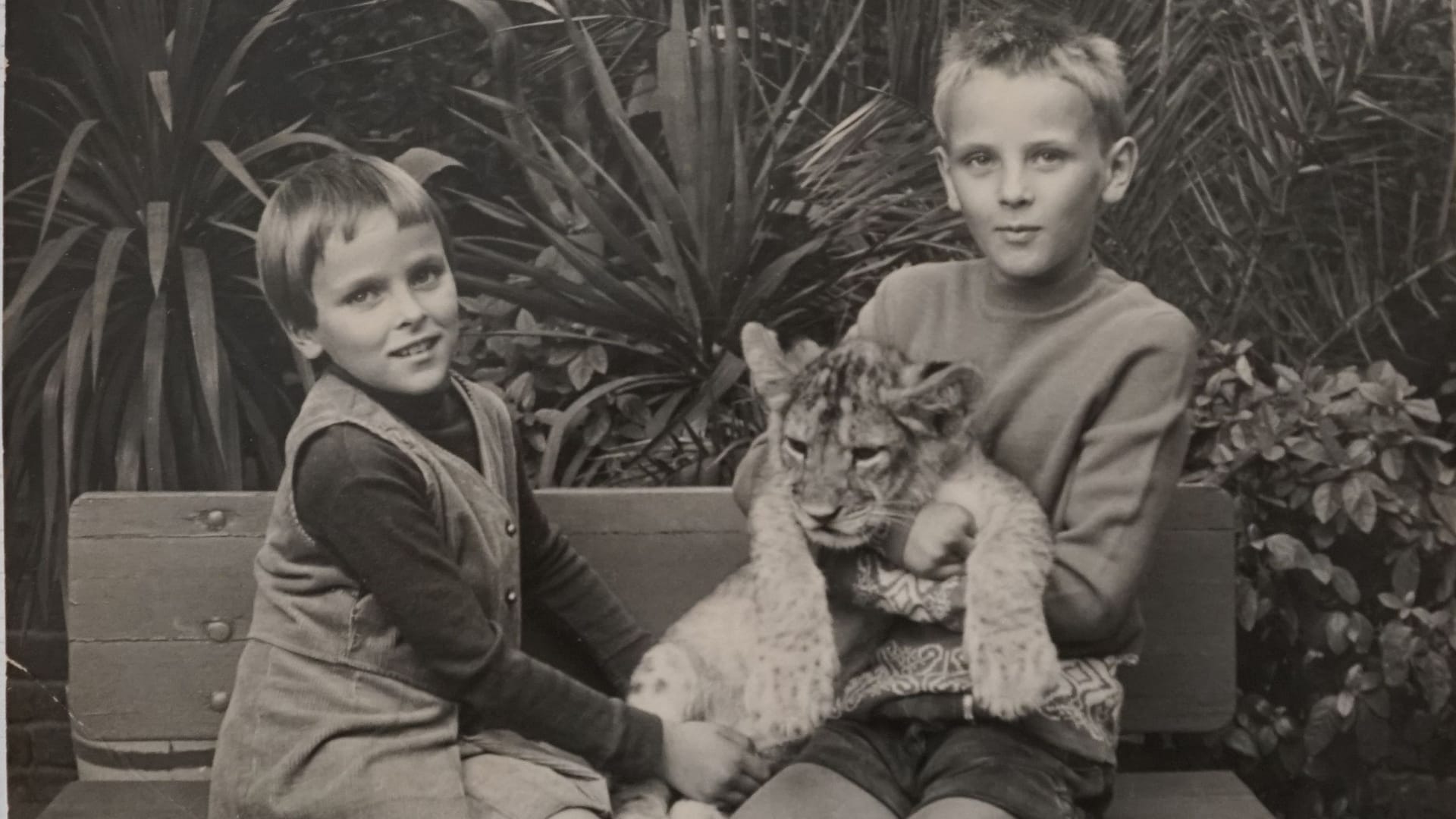 Jaqueline Jänike (l.) mit ihrem Bruder Jens Strehmel und einem Tigerbaby im Tierpark Berlin: "Fast jedes DDR-Kind hat so ein Bild."