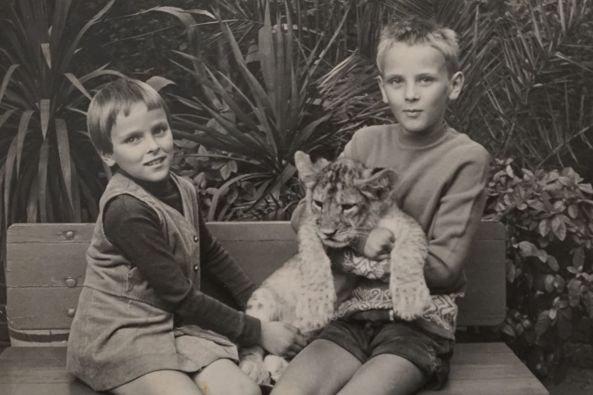 Jaqueline Jänike (l.) mit ihrem Bruder Jens Strehmel und einem Tigerbaby im Tierpark Berlin: "Fast jedes DDR-Kind hat so ein Bild."
