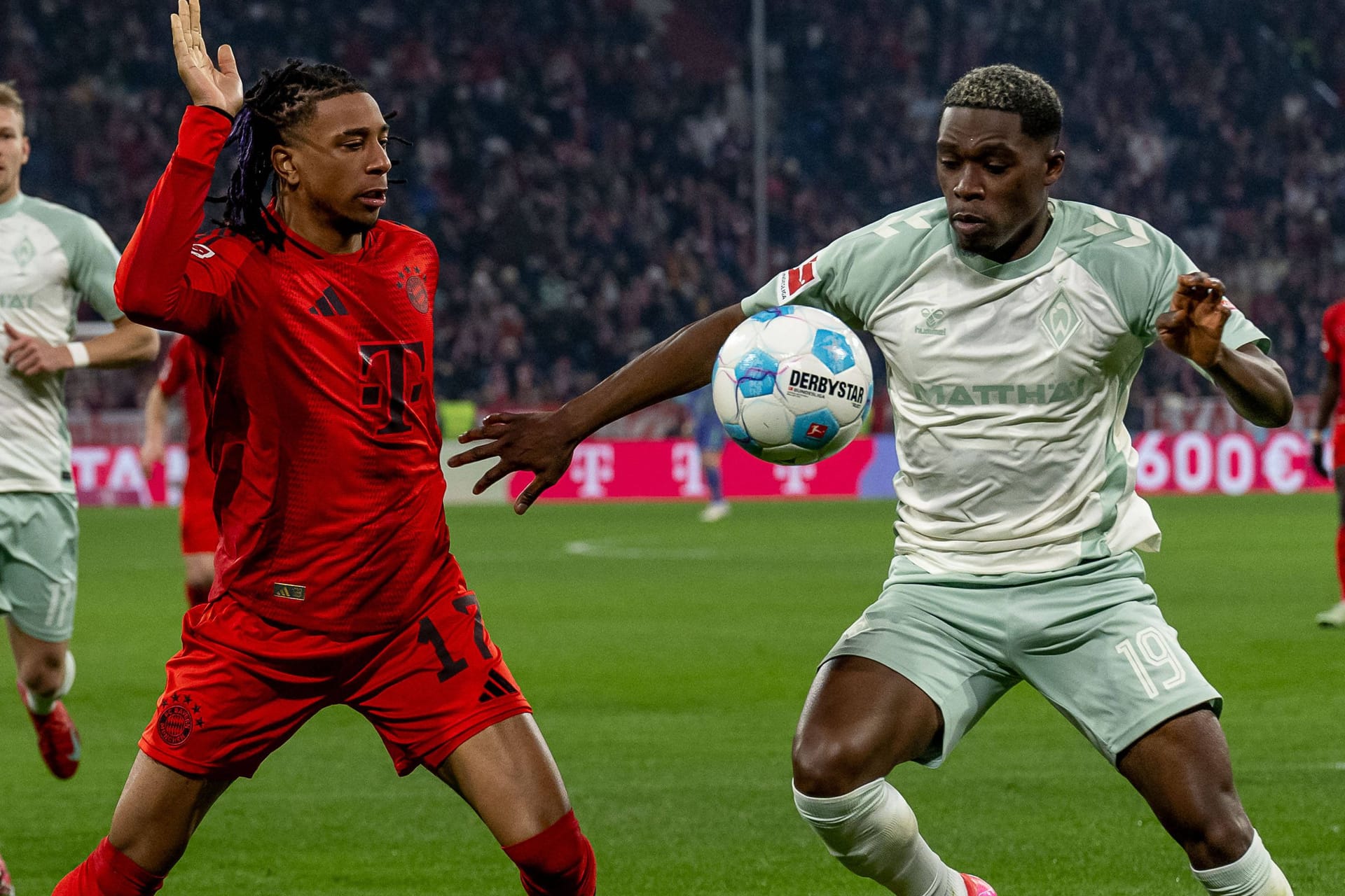 Zweikampf zwischen Bayerns Michael Olise (l.) und Werder-Verteidiger Derrick Köhn (Archivbild): Die beiden Traditionsmannschaften treffen sich am 5. Spieltag in München.