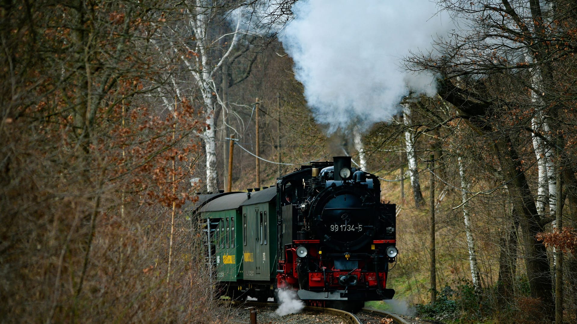 Die Weißeritzbahn (Archivbild). Die Weißeritzbahn (Archivbild).