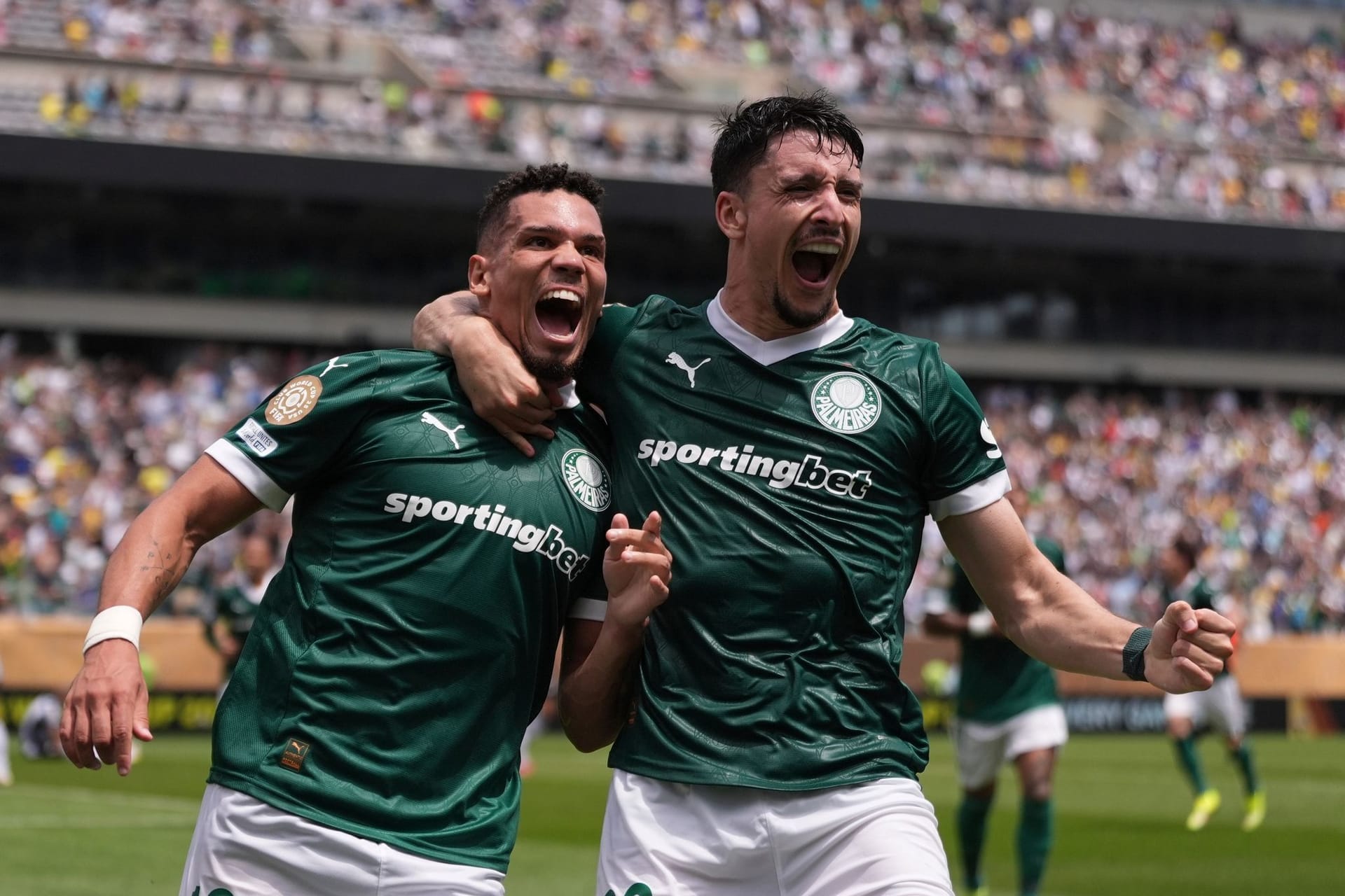 Palmeiras - Botafogo