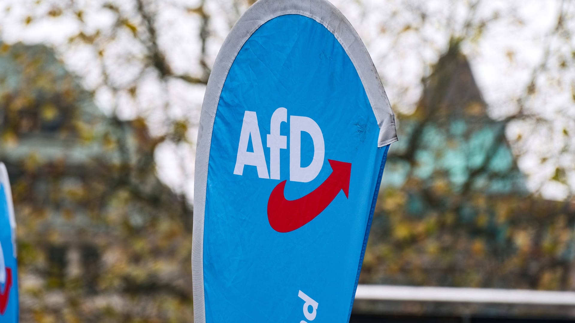 Ein Infostand der AfD (Archivbild): In Dresden sind zwei Männer angegriffen worden.