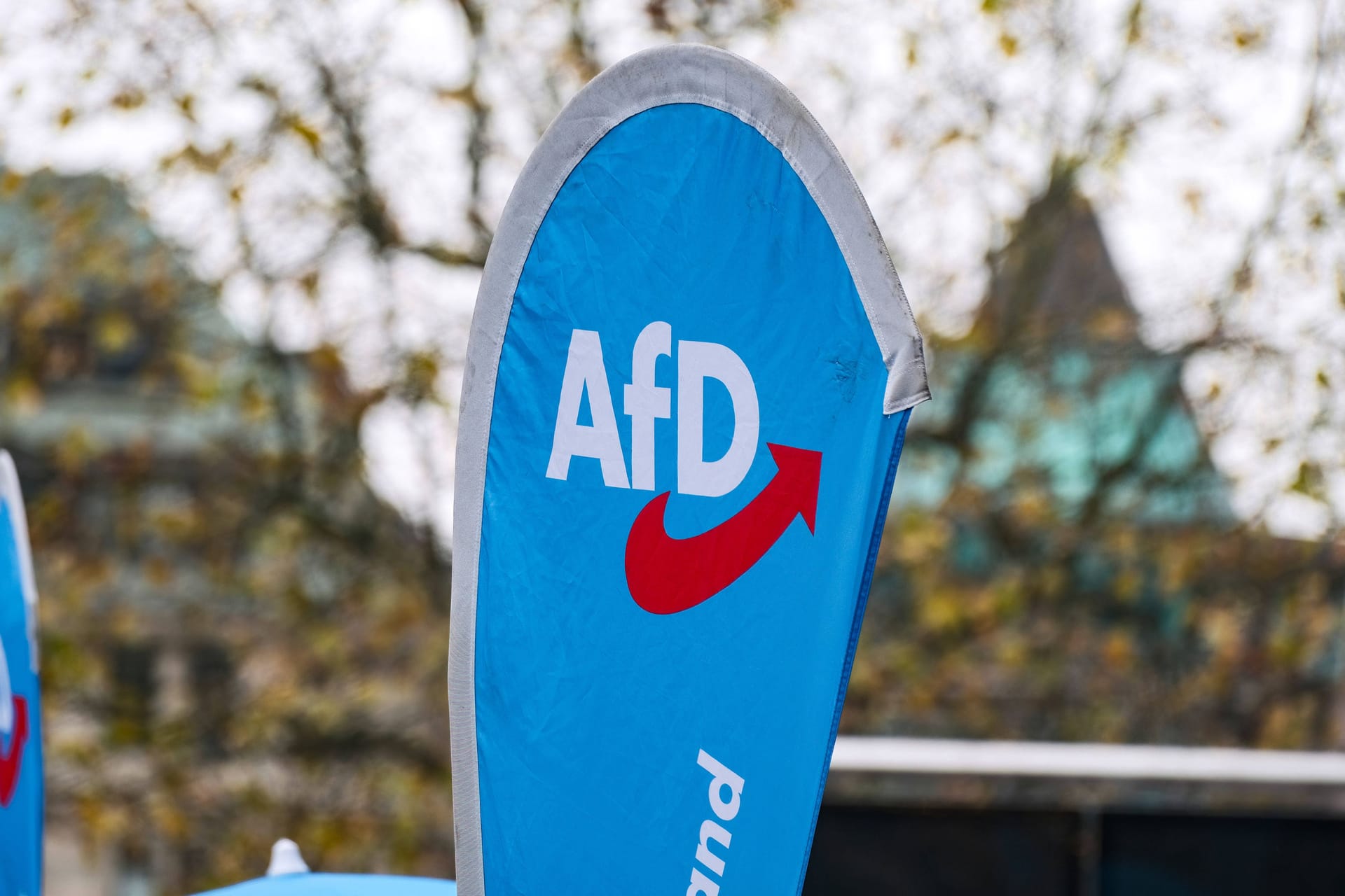 Ein Infostand der AfD (Archivbild): In Dresden sind zwei Männer angegriffen worden.