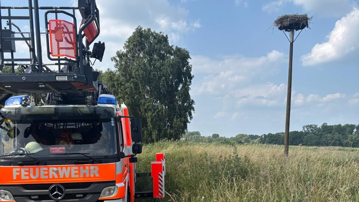 Tierrettung an der B214: Die Feuerwehr rückte zu einem ungewöhnlichen Einsatz aus.