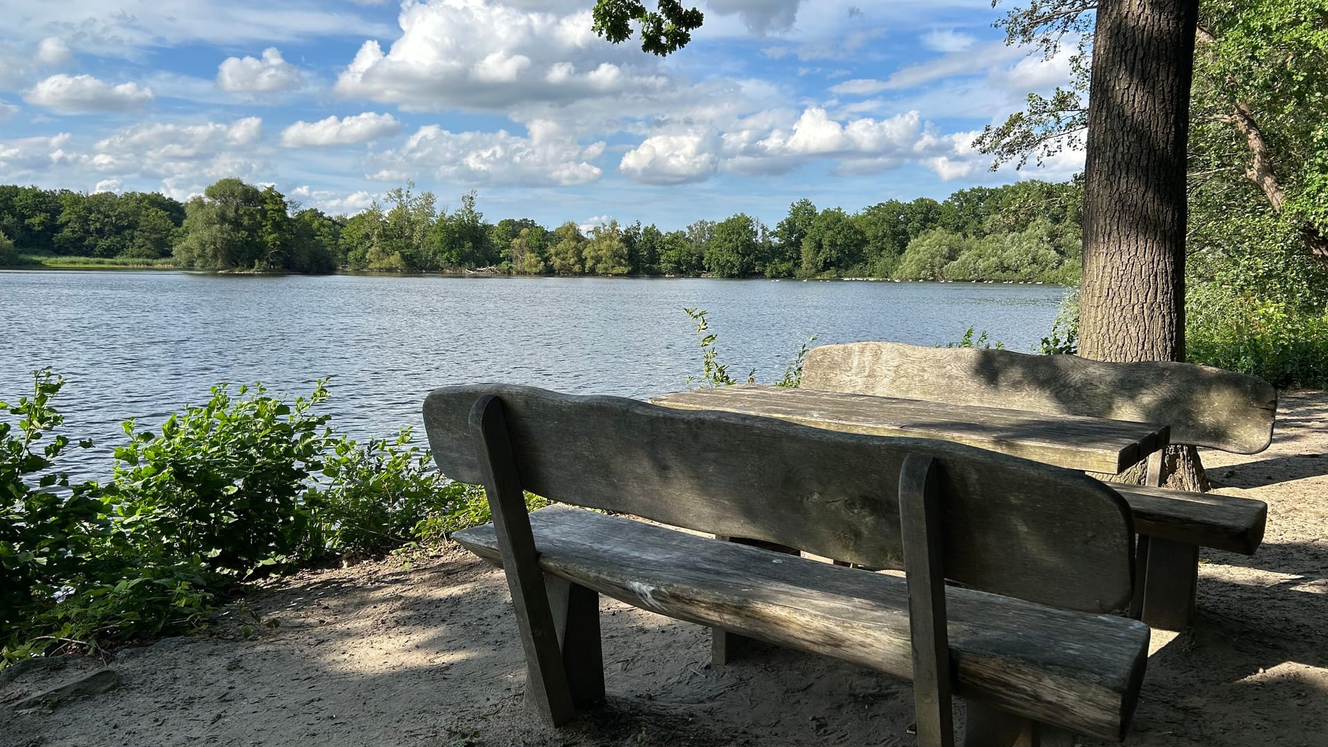 Schattiges Plätzchen in Riddagshausen: Die Stadt Braunschweig gibt Tipps für den Umgang mit Hitze.