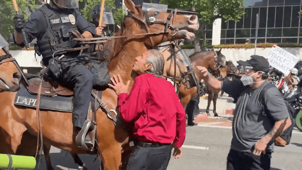 USA: Berittene Polizisten stürmen auf Demonstranten zu