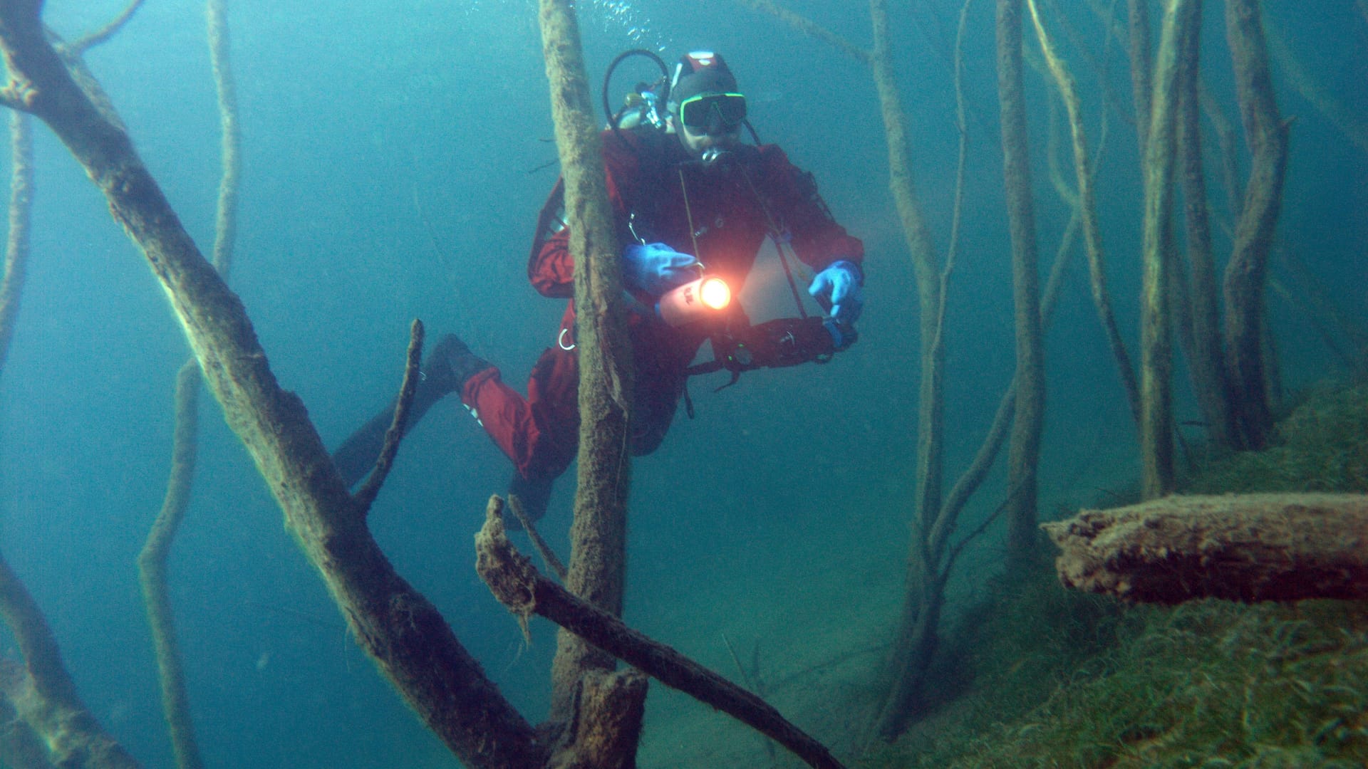 PantherMedia F65597004 PantherMedia F65597004