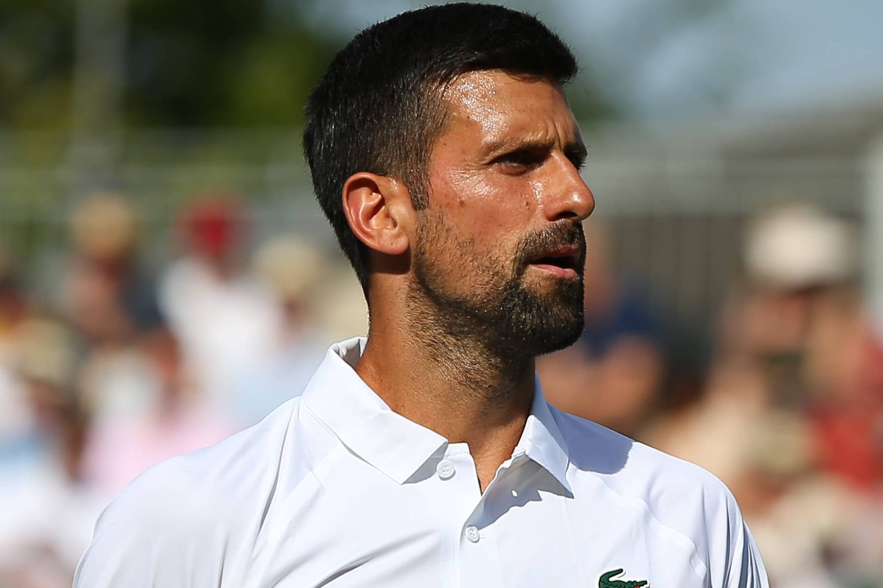 Novak Djoković in Wimbledon: Der Serbe liegt in der Rangliste der Rekordsieger von London mit sieben Erfolgen auf Rang zwei hinter Roger Federer (acht).