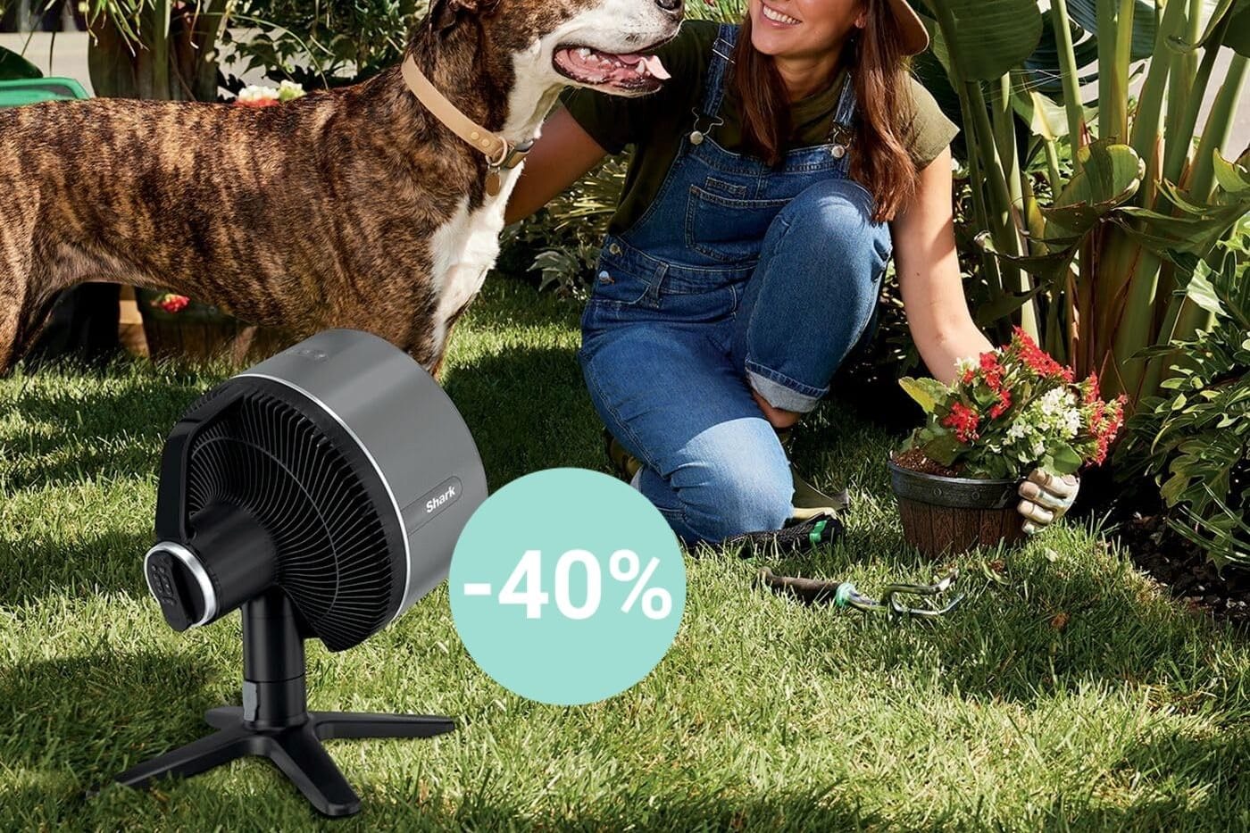 Kabelloser Akku-Ventilator im Angebot: Sichern Sie sich den FlexBreeze TableMate von Shark mit einem zusätzlichen 15 Prozent Gutschein zum Sparpreis.