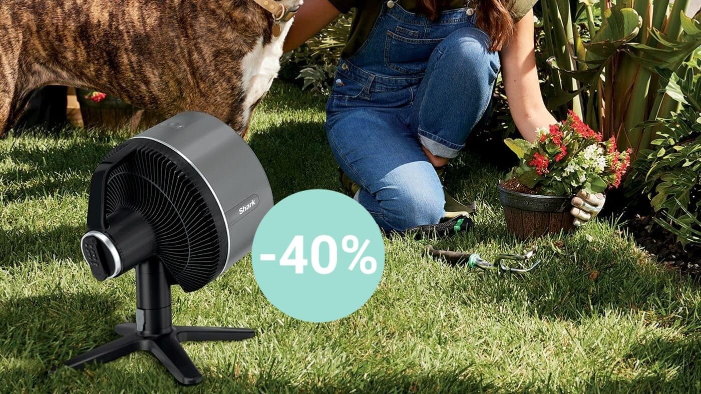 Kabelloser Akku-Ventilator im Angebot: Sichern Sie sich den FlexBreeze TableMate von Shark mit einem zusätzlichen 15 Prozent Gutschein zum Sparpreis.
