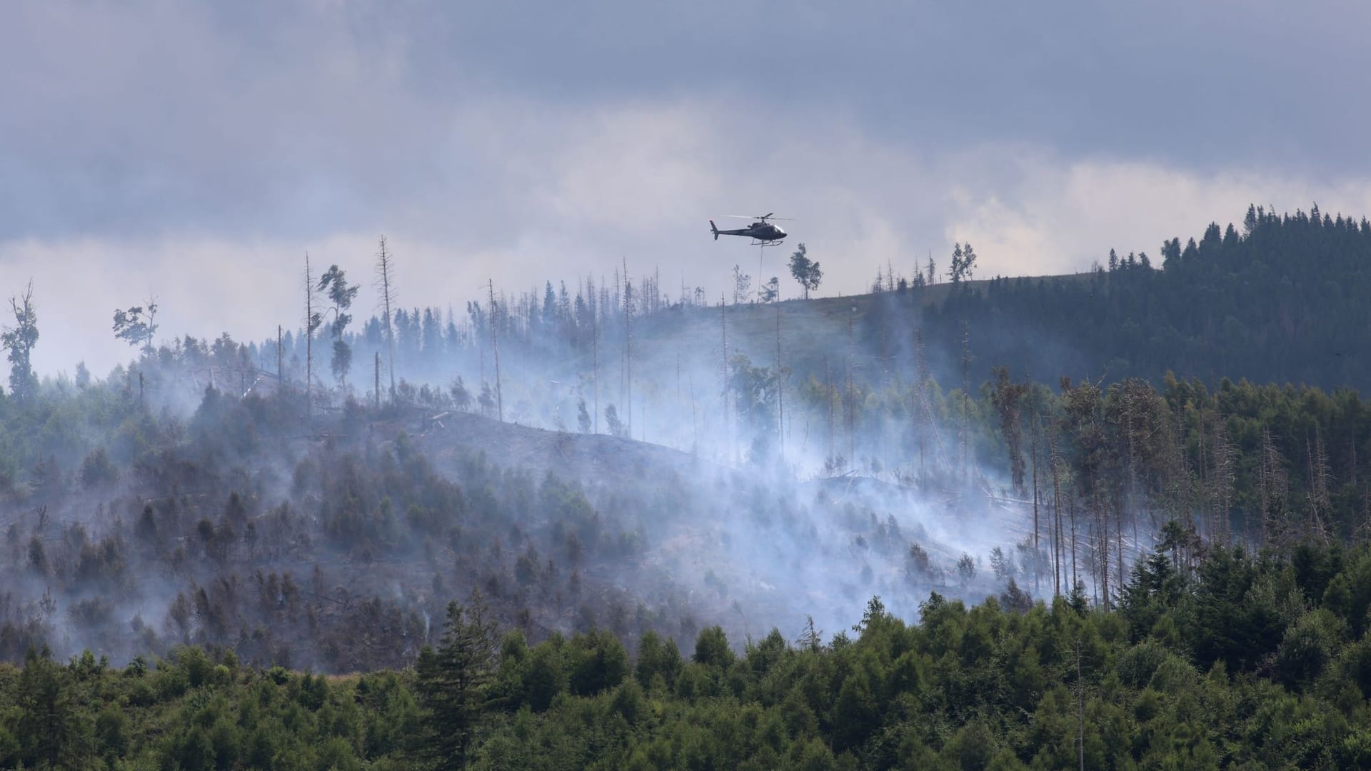 Waldbrand bei Goslar