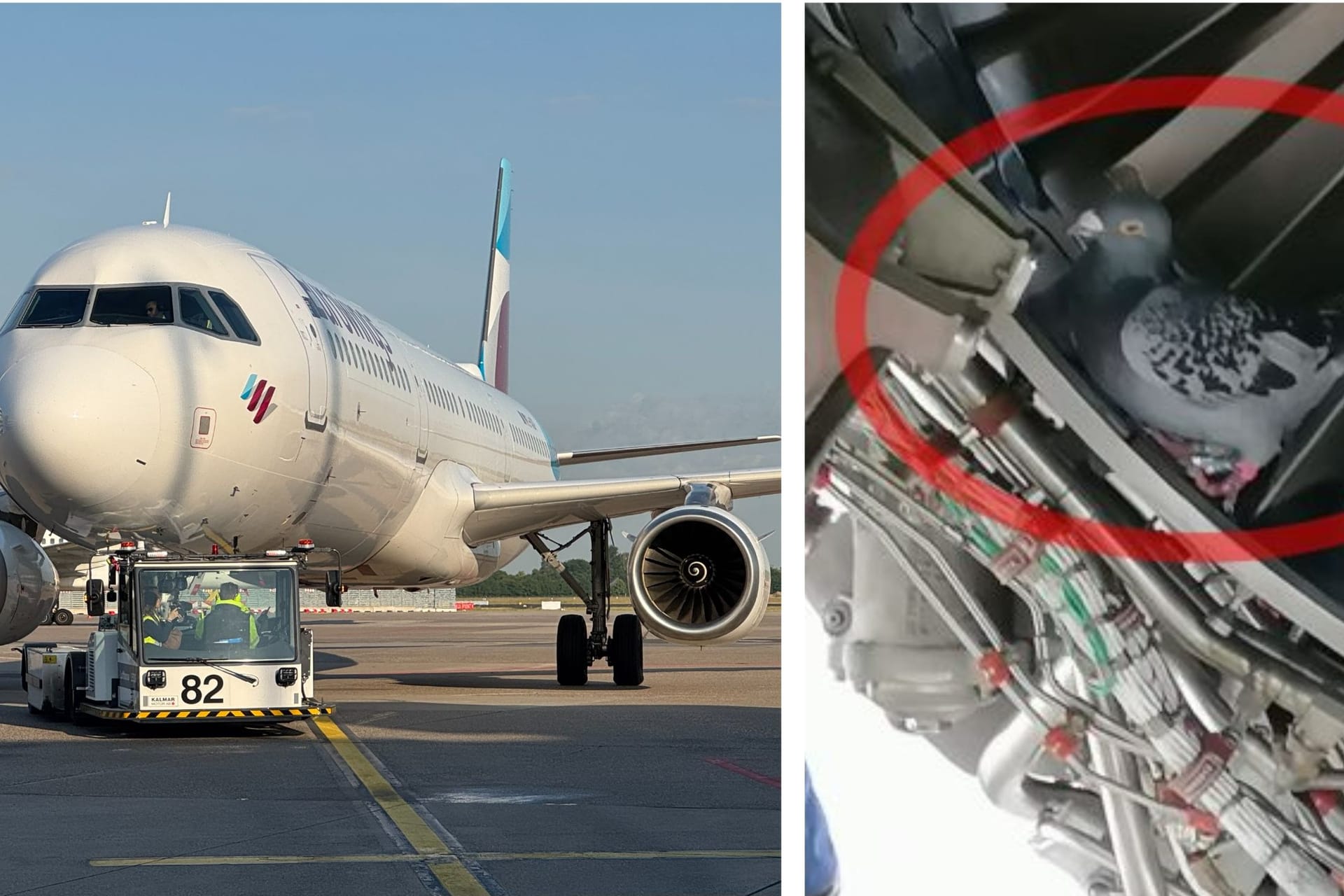 In einem Malaga-Urlaubsflieger entdeckten Eurowings-Mitarbeiter einen überraschenden Fund.