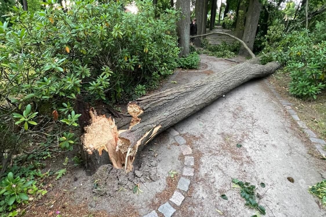 Sturmschäden in Marzahn-Hellersdorf: Ein Friedhof und der Schlosspark bleiben geschlossen.