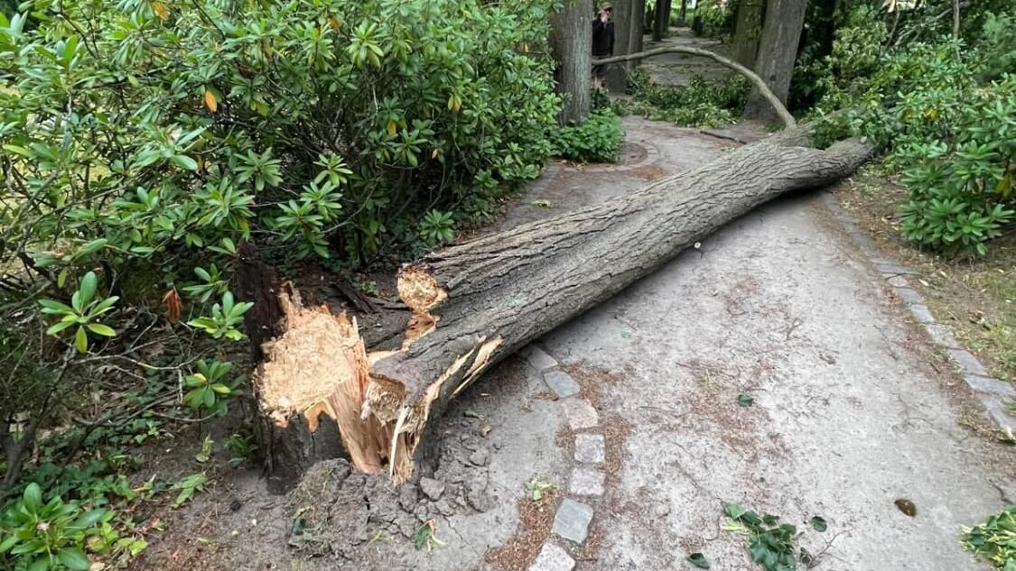 Sturmschäden in Marzahn-Hellersdorf: Ein Friedhof und der Schlosspark bleiben geschlossen.