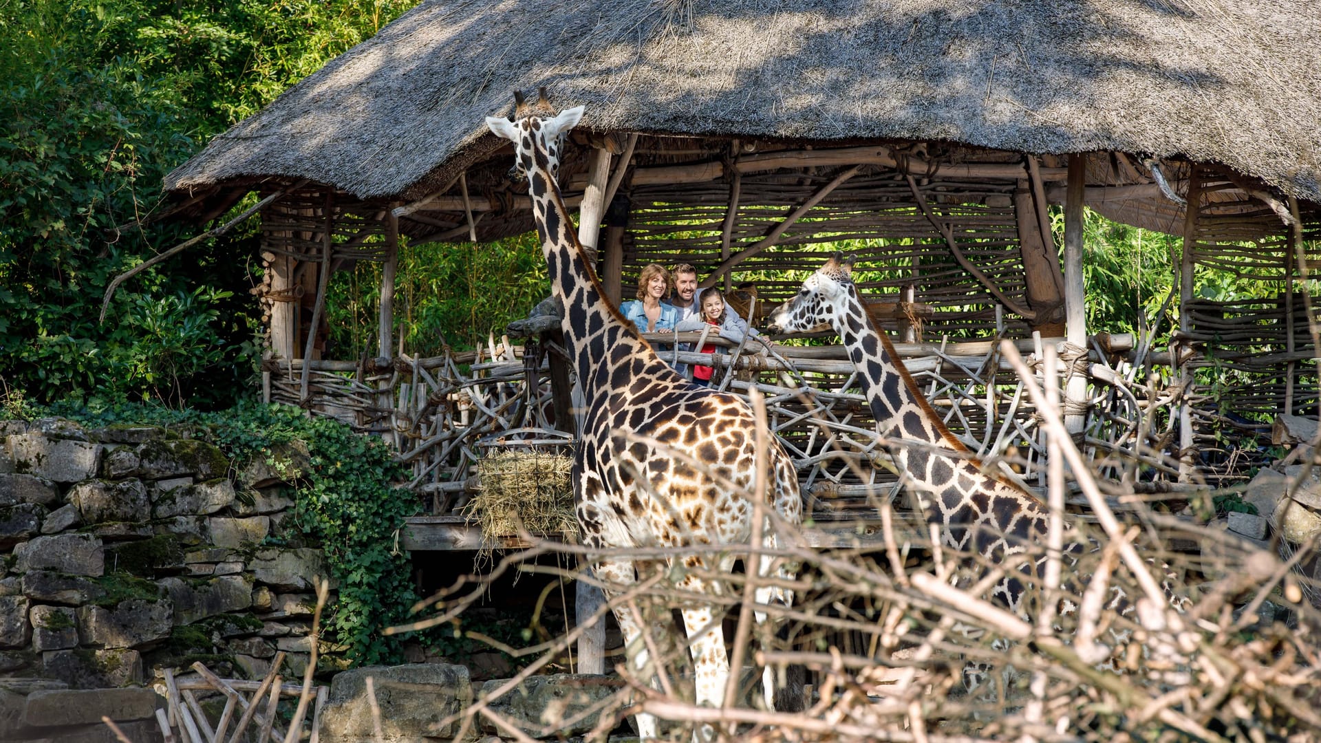 Erleben Sie eine einzigartige Reise durch Afrika.