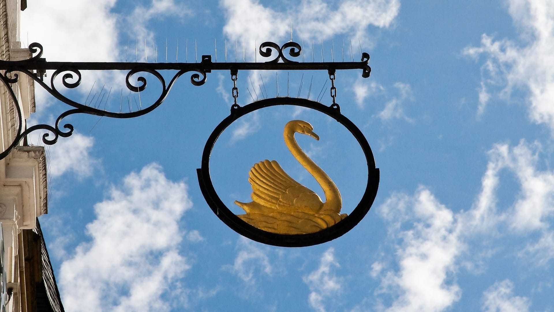 Signboard with swan in Aachen (Geramny) Signboard with swan in Aachen (Geramny)