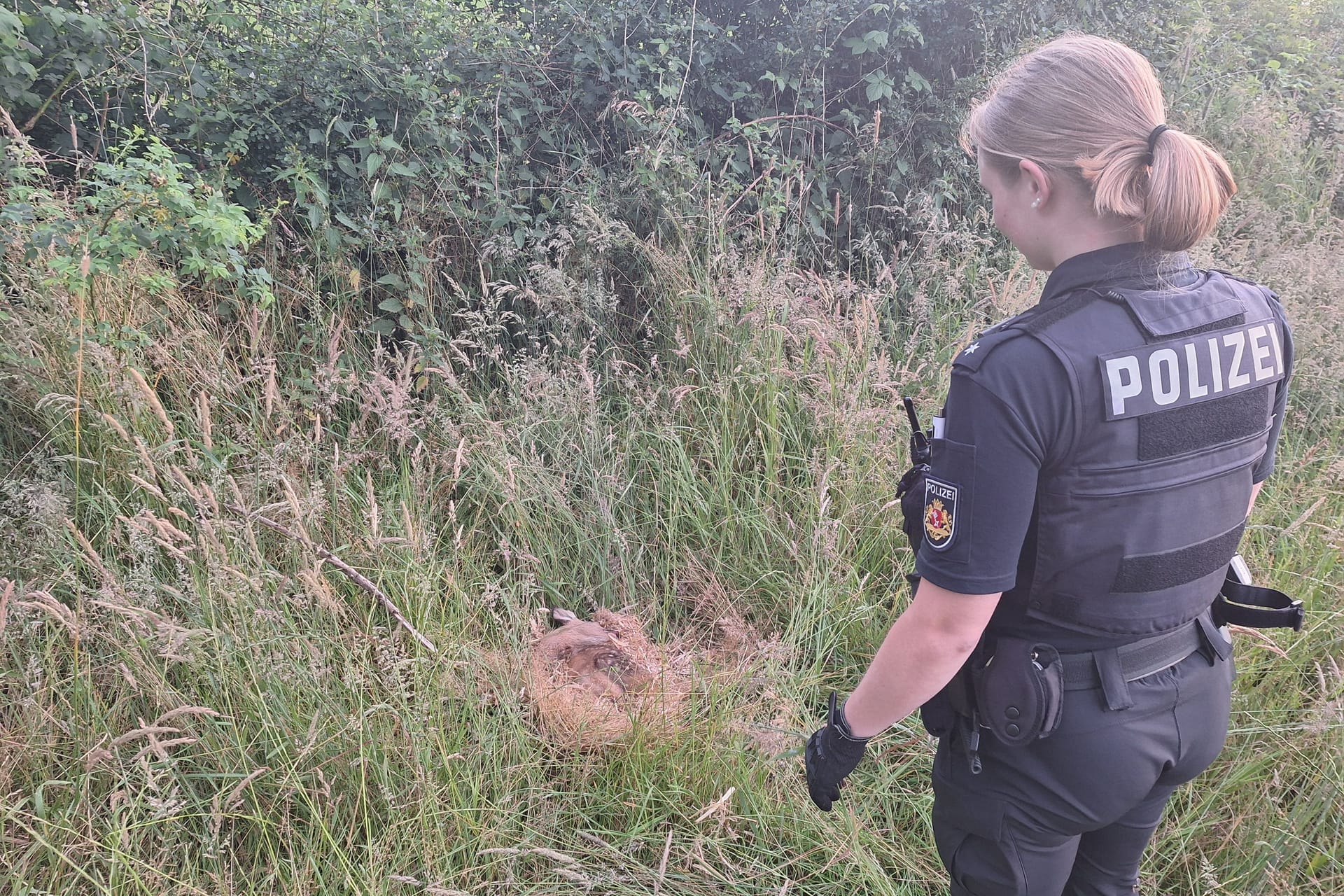 Eine Beamtin vor dem Rehkitz "Ayla": Ein Mädchen wollte in Burglesum einem Kitz helfen, die Polizei und ein Jäger wurden schließlich hinzugezogen.