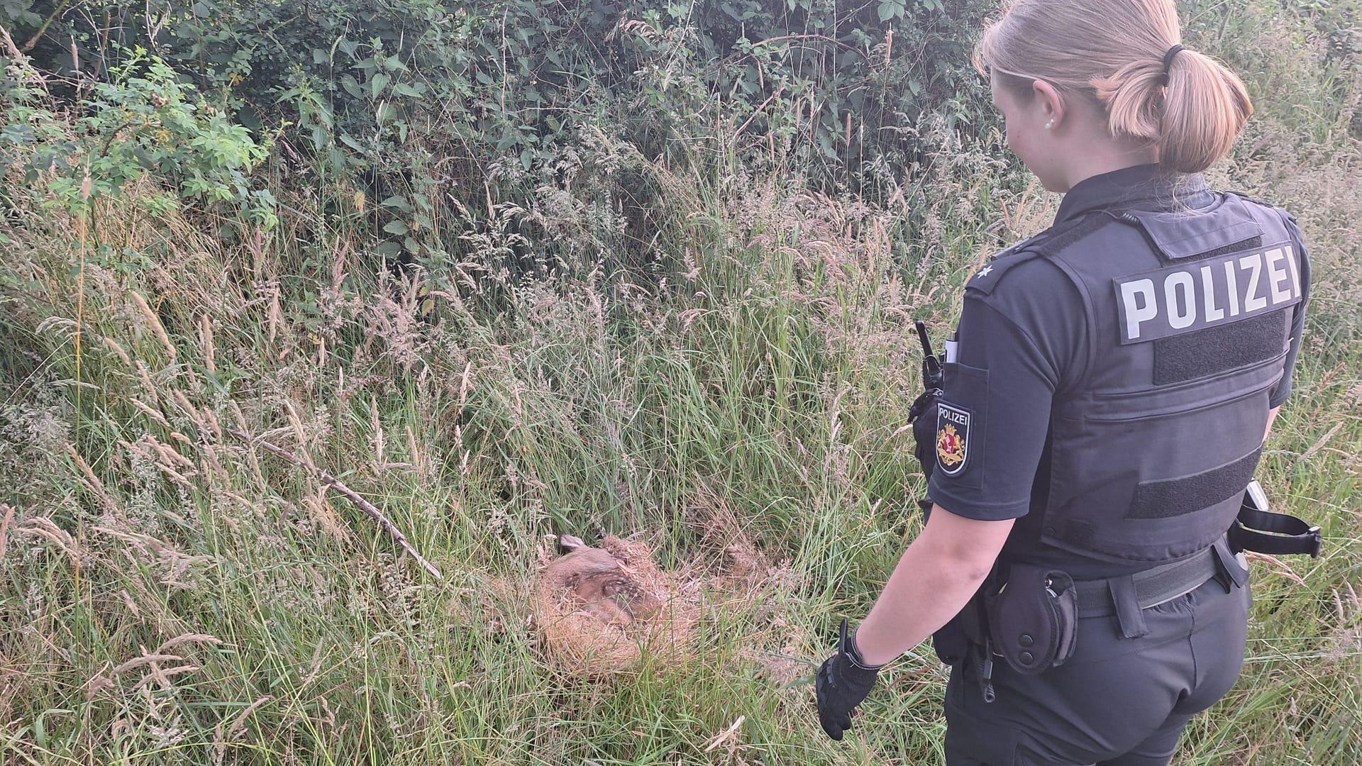 Eine Beamtin vor dem Rehkitz "Ayla": Ein Mädchen wollte in Burglesum einem Kitz helfen, die Polizei und ein Jäger wurden schließlich hinzugezogen.