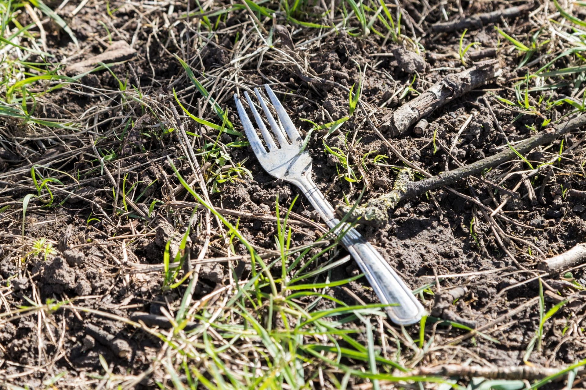 Besteck: Die Gabel kann entweder mit dem Griff nach unten in der Erde stecken oder lose im Beet liegen, heißt es.
