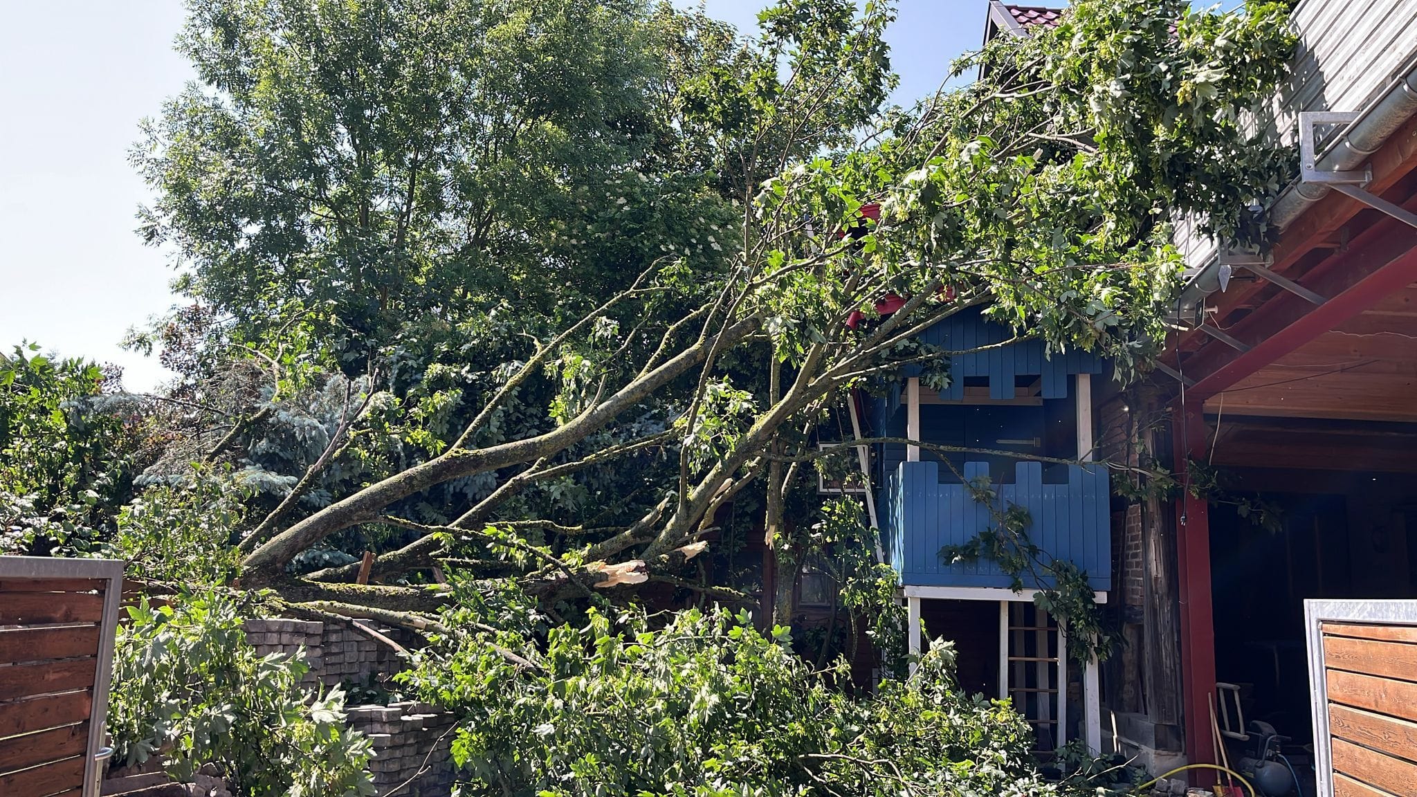 Dingelstädt: Ein Baum stürzte auf ein Haus und becshädigte es.
