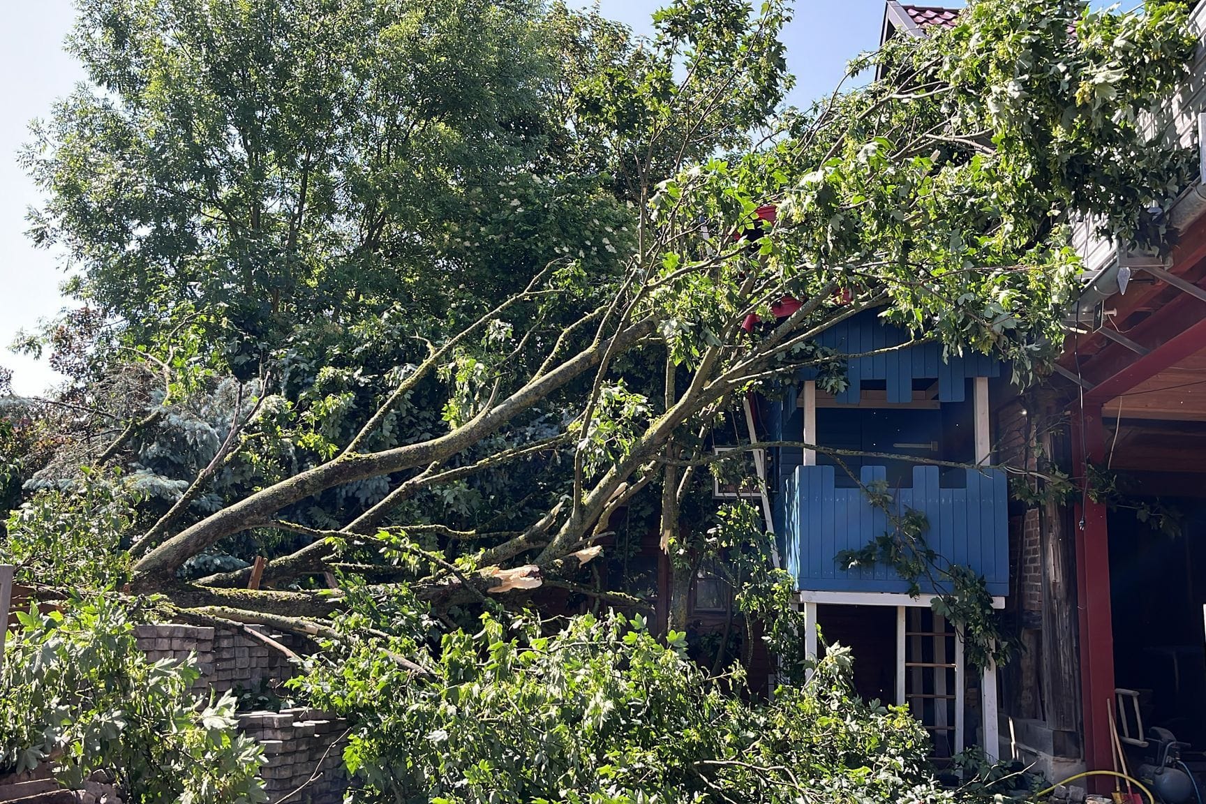 Dingelstädt: Ein Baum stürzte auf ein Haus und becshädigte es.