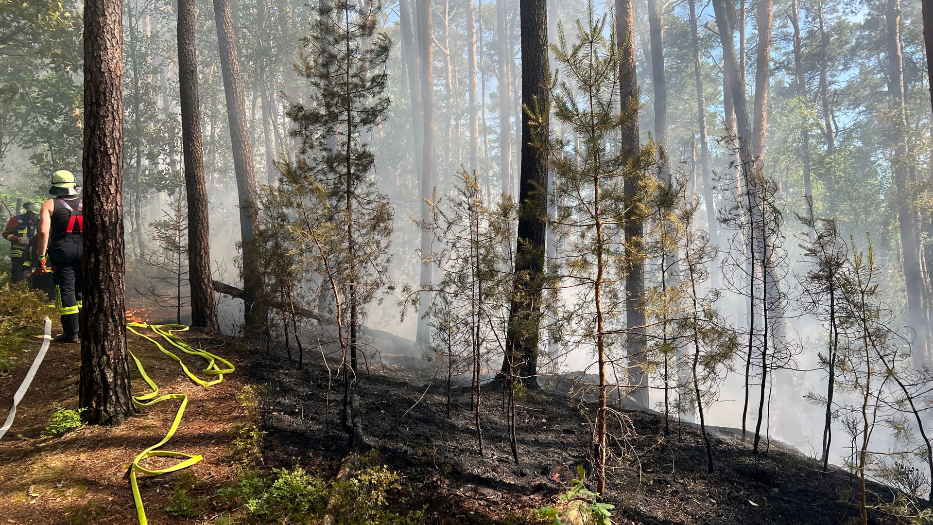 Bild des Waldbrandes vor Ort