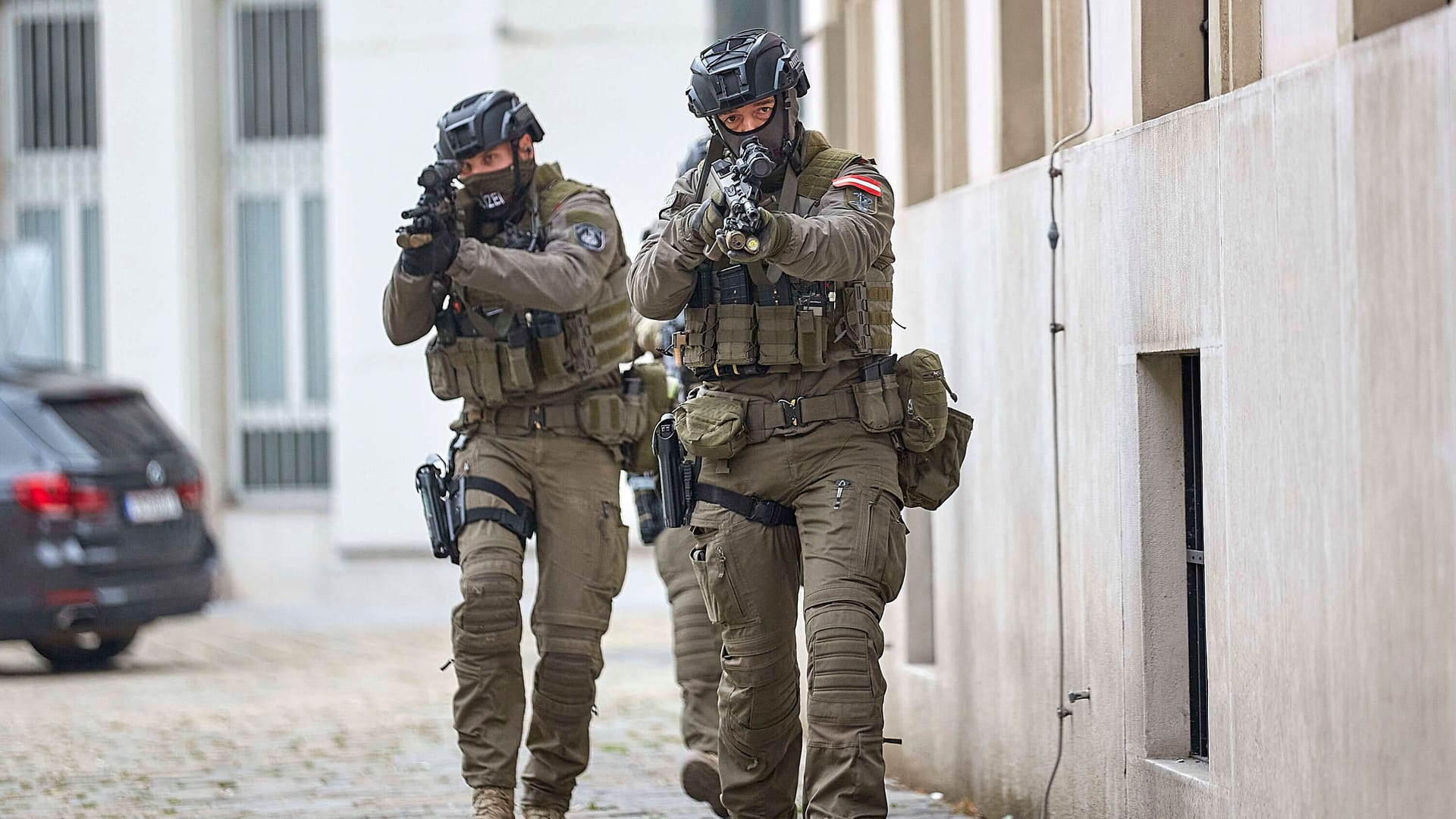 Anti-Terror-Ermittler der "Cobra" im Einsatz (Archiv): Die robuste Elite-Truppe kommt bei heiklen Lagen zum Einsatz. Anti-Terror-Ermittler der "Cobra" im Einsatz (Archiv): Die robuste Elite-Truppe kommt bei heiklen Lagen zum Einsatz.