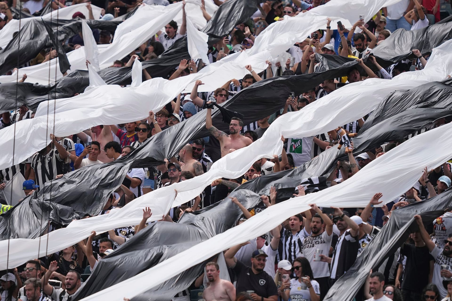 Palmeiras - Botafogo Palmeiras - Botafogo