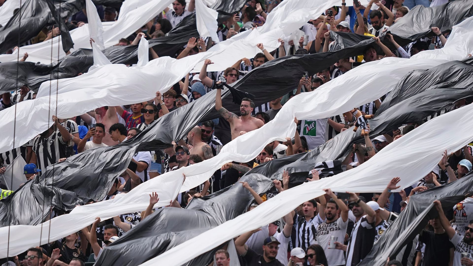 Palmeiras - Botafogo