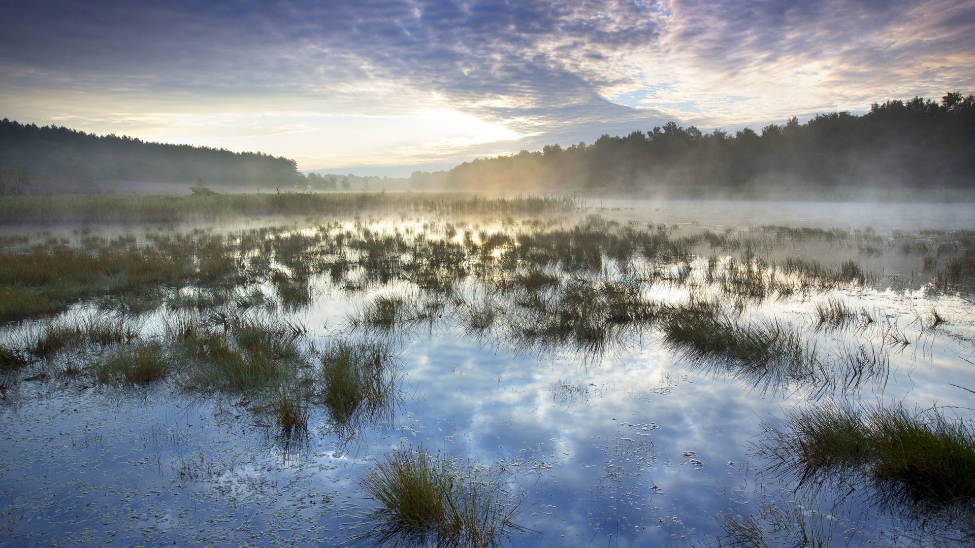 Seenlandschaft (Archivbild): Moore, Heide, Wald und klare Seen wechseln sich in dem Nationalpark ab.