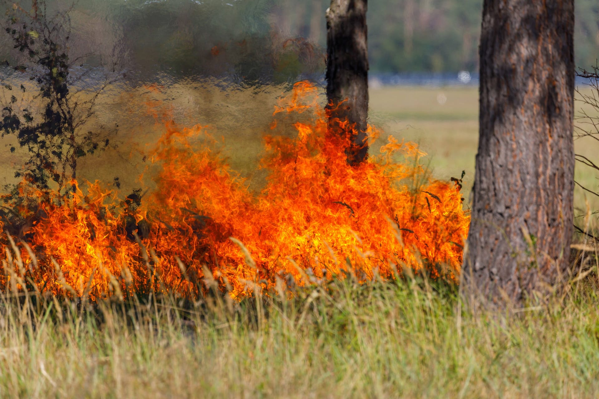 Ein Waldbrand (Symbolbild): Die Feuerwehr konnte die Flammen schnell löschen.