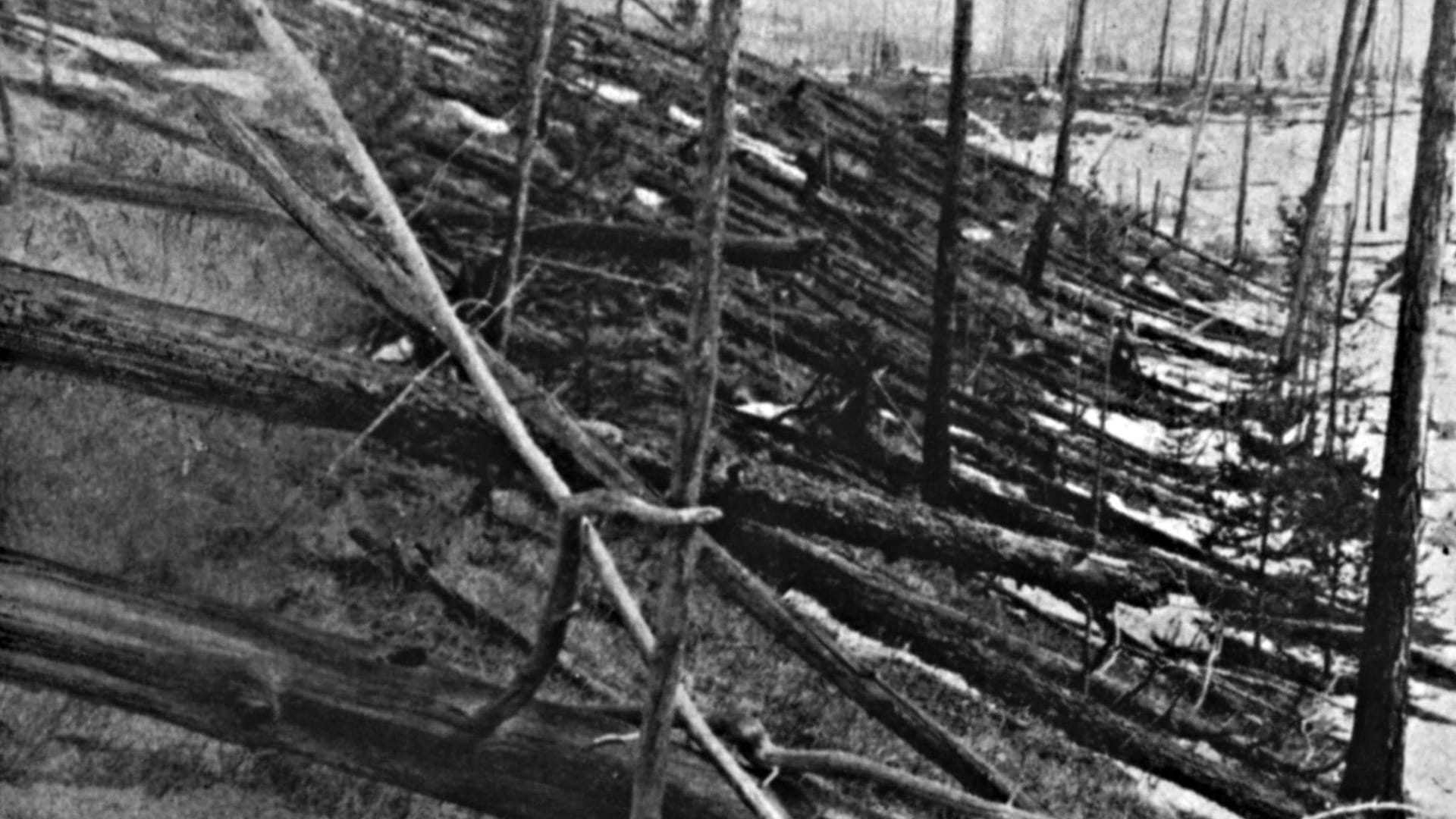 Über Tunguska drang ein Asteroid in die Erdatmosphäre ein